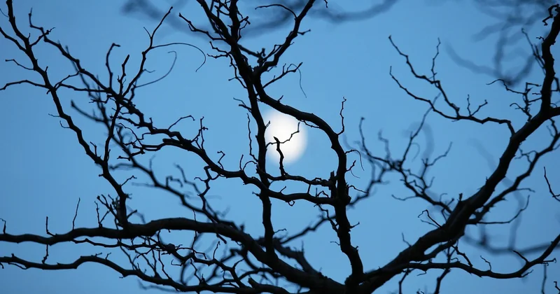 Le point qui change tout : la lune