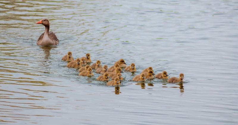 Conseils bivouac en bord de lac avec enfants : l'aventure en famille